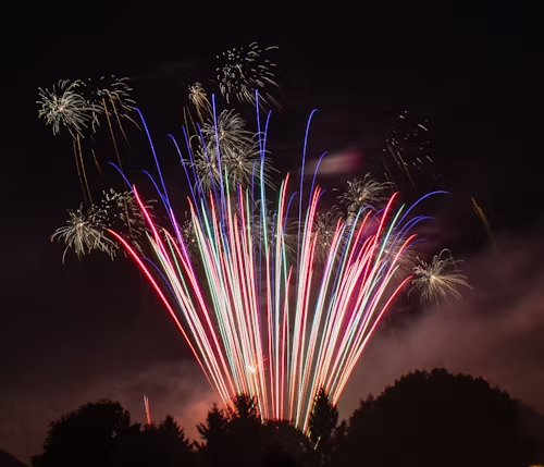 Colorful fireworks exploding in the night sky